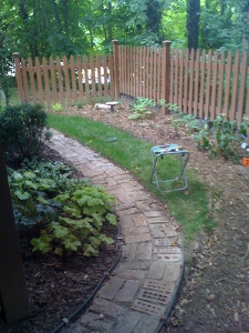 Back Garden
